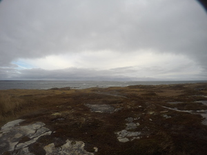 Photograph of Pinchard's Island, Newfoundland — November 11, 2017 at 10:00 AM
