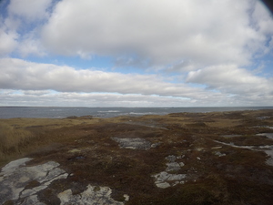Photograph of Pinchard's Island, Newfoundland — November 11, 2017 at 12:00 PM
