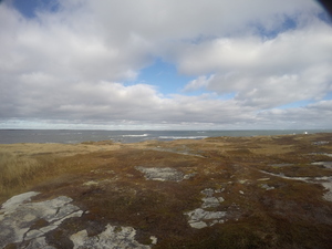 Photograph of Pinchard's Island, Newfoundland — November 11, 2017 at 12:36 PM