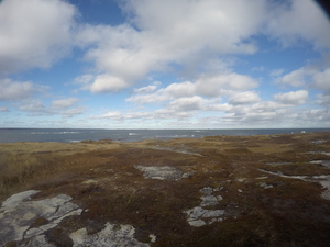 Photograph of Pinchard's Island, Newfoundland — November 11, 2017 at 2:00 PM