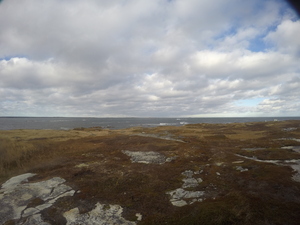 Photograph of Pinchard's Island, Newfoundland — November 11, 2017 at 3:00 PM