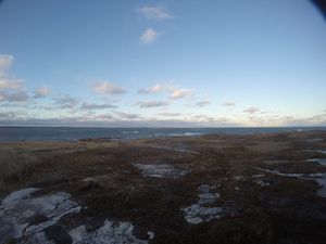 Photograph of Pinchard's Island, Newfoundland — November 11, 2017 at 5:00 PM