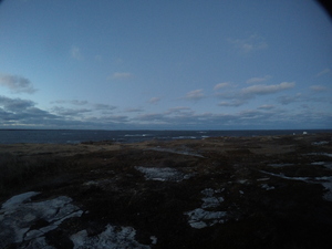 Photograph of Pinchard's Island, Newfoundland — November 11, 2017 at 6:00 PM