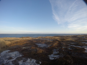 Photograph of Pinchard's Island, Newfoundland — November 12, 2017 at 9:00 AM