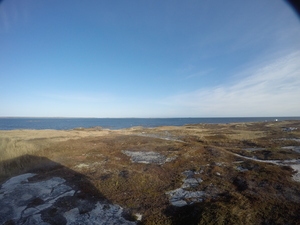 Photograph of Pinchard's Island, Newfoundland — November 12, 2017 at 11:00 AM
