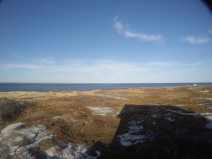 Photograph of Pinchard's Island, Newfoundland — November 12, 2017 at 3:00 PM