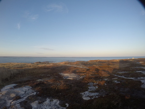 Photograph of Pinchard's Island, Newfoundland — November 12, 2017 at 5:00 PM