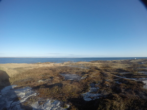 Photograph of Pinchard's Island, Newfoundland — November 13, 2017 at 10:00 AM