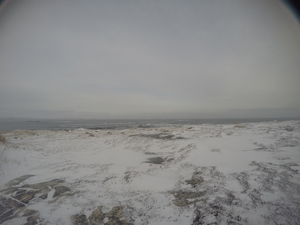 Photograph of Pinchard's Island, Newfoundland — December 17, 2017 at 9:01 AM