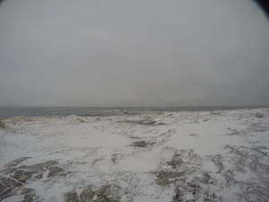 Photograph of Pinchard's Island, Newfoundland — December 17, 2017 at 10:01 AM