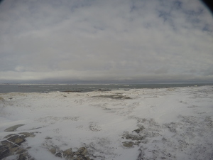 Photograph of Pinchard's Island, Newfoundland — December 20, 2017 at 8:01 AM