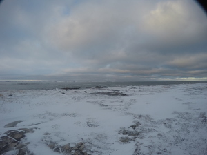 Photograph of Pinchard's Island, Newfoundland — December 20, 2017 at 12:00 PM