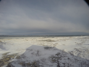 Photograph of Pinchard's Island, Newfoundland — December 21, 2017 at 9:00 AM