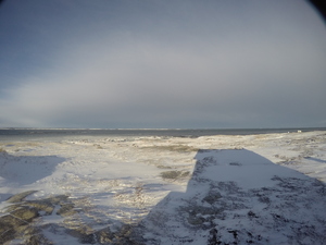 Photograph of Pinchard's Island, Newfoundland — December 21, 2017 at 11:00 AM