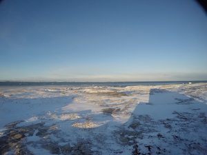 Photograph of Pinchard's Island, Newfoundland — December 21, 2017 at 12:00 PM
