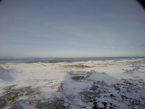 Photograph of Pinchard's Island, Newfoundland — December 22, 2017 at 10:00 AM