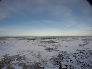 Photograph of Pinchard's Island, Newfoundland — December 22, 2017 at 11:00 AM