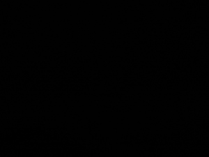 Photograph of Pinchard's Island, Newfoundland — December 22, 2017 at 7:00 PM