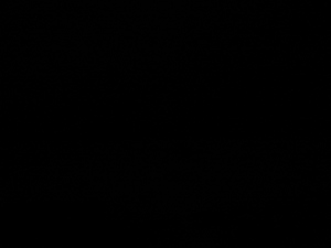 Photograph of Pinchard's Island, Newfoundland — December 22, 2017 at 8:00 PM