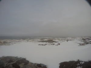 Photograph of Pinchard's Island, Newfoundland — December 23, 2017 at 8:00 AM