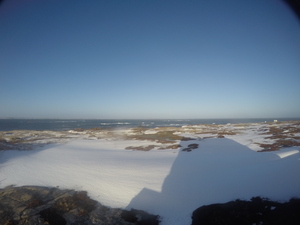 Photograph of Pinchard's Island, Newfoundland — December 23, 2017 at 11:00 AM