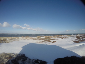 Photograph of Pinchard's Island, Newfoundland — December 24, 2017 at 9:00 AM