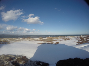 Photograph of Pinchard's Island, Newfoundland — December 24, 2017 at 10:00 AM