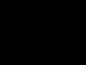 Photograph of Pinchard's Island, Newfoundland — December 24, 2017 at 8:00 PM