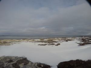 Photograph of Pinchard's Island, Newfoundland — December 25, 2017 at 8:01 AM