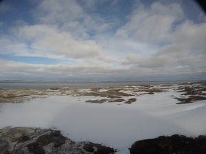 Photograph of Pinchard's Island, Newfoundland — December 25, 2017 at 9:00 AM