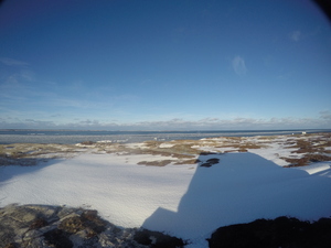 Photograph of Pinchard's Island, Newfoundland — December 25, 2017 at 11:00 AM