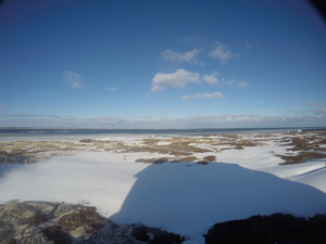 Photograph of Pinchard's Island, Newfoundland — December 26, 2017 at 10:00 AM