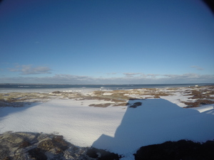 Photograph of Pinchard's Island, Newfoundland — December 26, 2017 at 11:00 AM