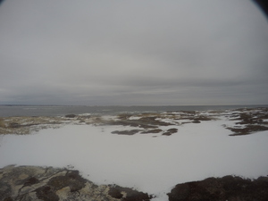 Photograph of Pinchard's Island, Newfoundland — December 27, 2017 at 8:00 AM