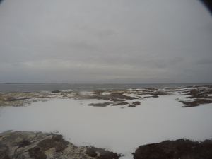 Photograph of Pinchard's Island, Newfoundland — December 27, 2017 at 9:00 AM