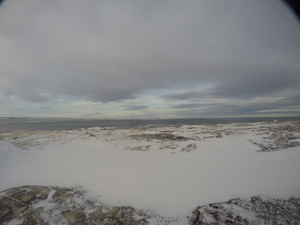 Photograph of Pinchard's Island, Newfoundland — December 29, 2017 at 11:00 AM