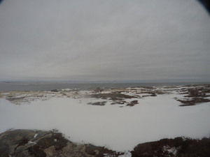 Photograph of Pinchard's Island, Newfoundland — December 30, 2017 at 8:00 AM