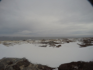 Photograph of Pinchard's Island, Newfoundland — December 30, 2017 at 9:00 AM