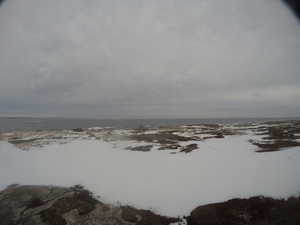 Photograph of Pinchard's Island, Newfoundland — December 30, 2017 at 10:00 AM
