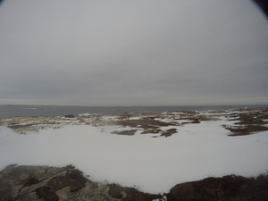 Photograph of Pinchard's Island, Newfoundland — December 30, 2017 at 11:00 AM