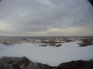 Photograph of Pinchard's Island, Newfoundland — December 30, 2017 at 12:00 PM