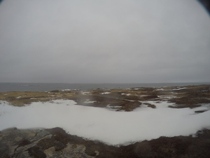 Photograph of Pinchard's Island, Newfoundland — December 31, 2017 at 8:00 AM