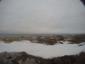 Photograph of Pinchard's Island, Newfoundland — December 31, 2017 at 9:00 AM