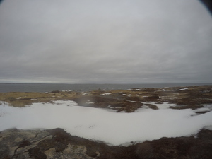 Photograph of Pinchard's Island, Newfoundland — December 31, 2017 at 10:00 AM