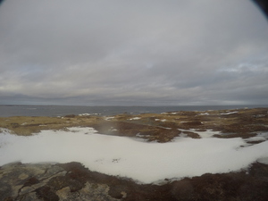 Photograph of Pinchard's Island, Newfoundland — December 31, 2017 at 11:00 AM