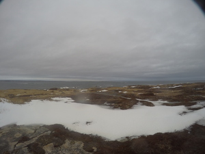 Photograph of Pinchard's Island, Newfoundland — December 31, 2017 at 12:00 PM