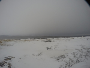 Photograph of Pinchard's Island, Newfoundland — January 7, 2018 at 11:00 AM
