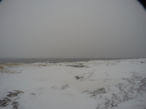 Photograph of Pinchard's Island, Newfoundland — January 7, 2018 at 12:00 PM