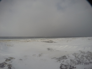 Photograph of Pinchard's Island, Newfoundland — January 8, 2018 at 9:00 AM