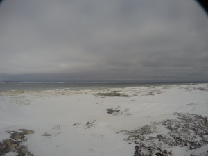 Photograph of Pinchard's Island, Newfoundland — January 9, 2018 at 8:00 AM